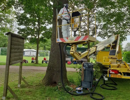 Processierups stofzuigers